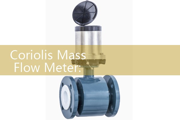 Coriolis Mass Flow Meter: Premium Direct Fluid Sizing and Sourcing